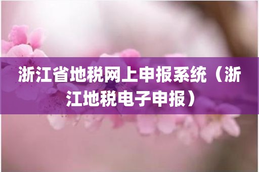 浙江省地税网上申报系统（浙江地税电子申报）