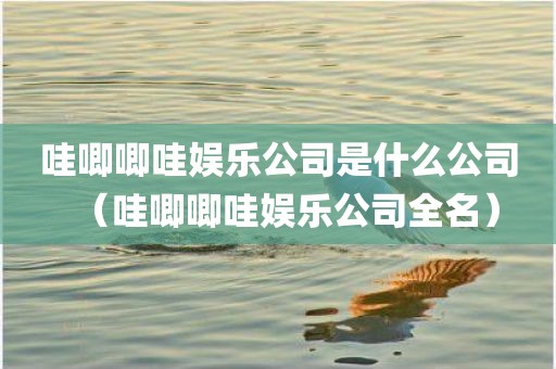 哇唧唧哇娱乐公司是什么公司（哇唧唧哇娱乐公司全名）