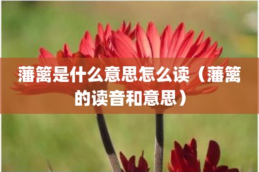 藩篱是什么意思怎么读（藩篱的读音和意思）