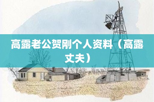 高露老公贺刚个人资料（高露丈夫）