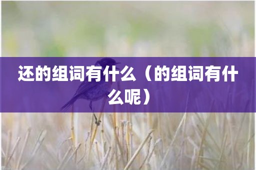 还的组词有什么（的组词有什么呢）