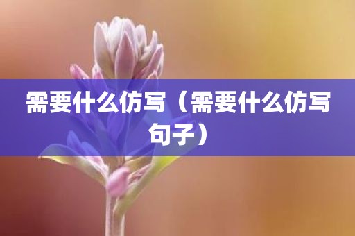 需要什么仿写（需要什么仿写句子）