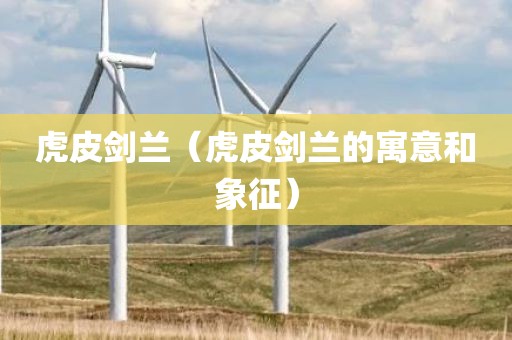 虎皮剑兰(虎皮剑兰的寓意和象征)