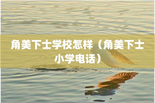 角美下士学校怎样（角美下士小学电话）