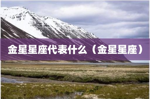 金星星座代表什么（金星星座）