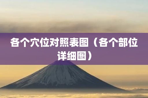 各个穴位对照表图（各个部位详细图）