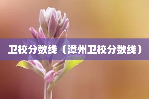 卫校分数线（漳州卫校分数线）