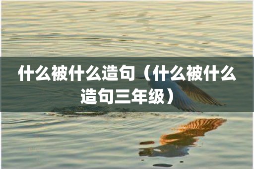 什么被什么造句（什么被什么造句三年级）