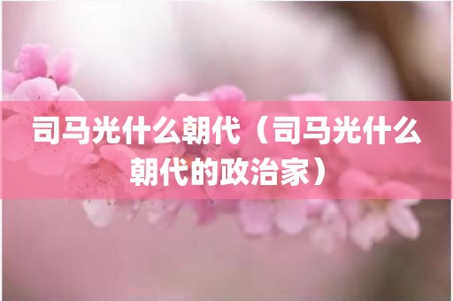 司马光什么朝代（司马光什么朝代的政治家）
