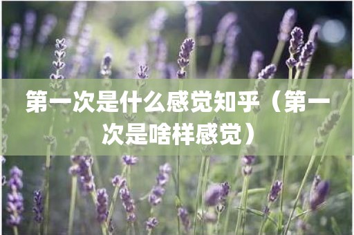第一次是什么感觉知乎（第一次是啥样感觉）