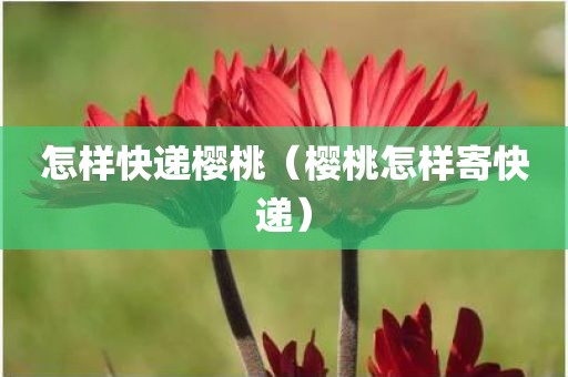 怎样快递樱桃（樱桃怎样寄快递）
