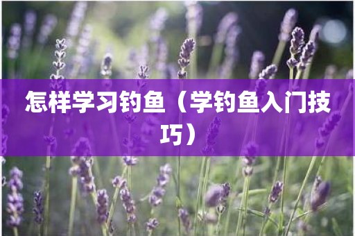 怎样学习钓鱼（学钓鱼入门技巧）