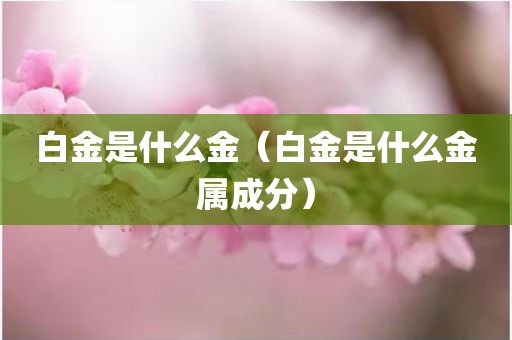 白金是什么金（白金是什么金属成分）