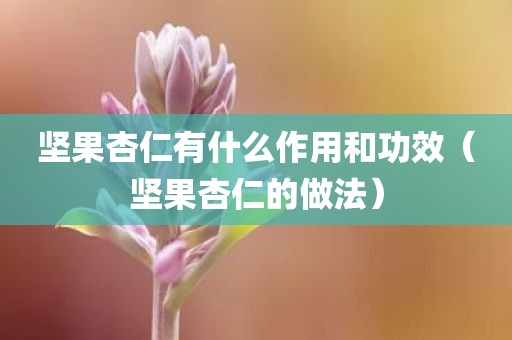 坚果杏仁有什么作用和功效（坚果杏仁的做法）