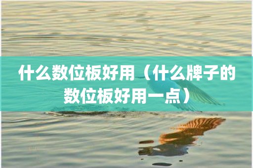什么数位板好用（什么牌子的数位板好用一点）