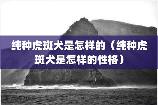 纯种虎斑犬是怎样的（纯种虎斑犬是怎样的性格）