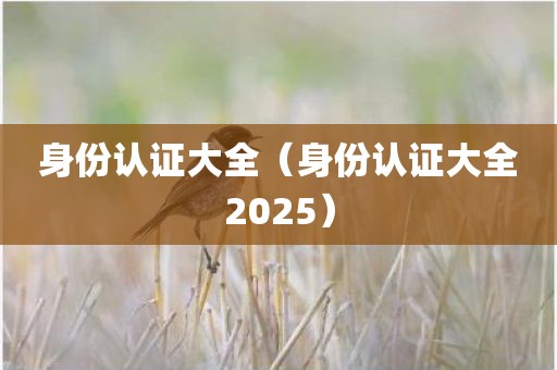 身份认证大全（身份认证大全2025）