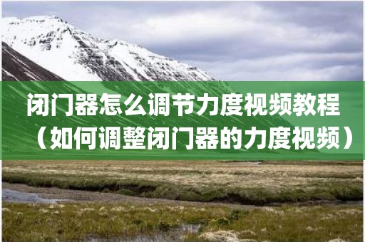 闭门器怎么调节力度视频教程（如何调整闭门器的力度视频）
