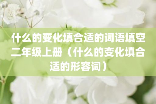 什么的变化填合适的词语填空二年级上册（什么的变化填合适的形容词）