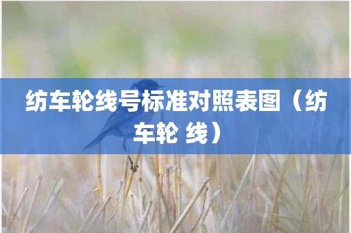 纺车轮线号标准对照表图（纺车轮 线）