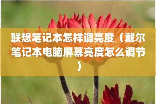 联想笔记本怎样调亮度（戴尔笔记本电脑屏幕亮度怎么调节）