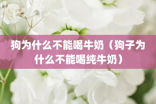 狗为什么不能喝牛奶（狗子为什么不能喝纯牛奶）