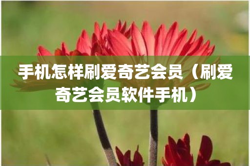 手机怎样刷爱奇艺会员（刷爱奇艺会员软件手机）