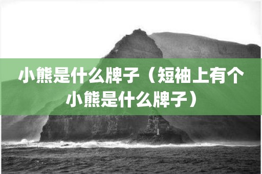 小熊是什么牌子（短袖上有个小熊是什么牌子）