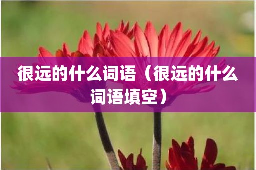 很远的什么词语（很远的什么词语填空）