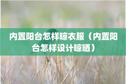 内置阳台怎样晾衣服(内置阳台怎样设计晾晒) 内置阳台怎样晾衣服(内置阳台怎样设计晾晒)