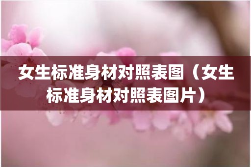 女生标准身材对照表图（女生标准身材对照表图片）