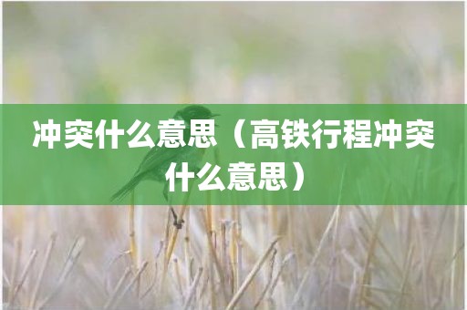冲突什么意思（高铁行程冲突什么意思）