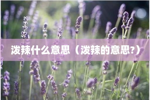 泼辣什么意思（泼辣的意思?）