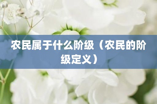 农民属于什么阶级（农民的阶级定义）