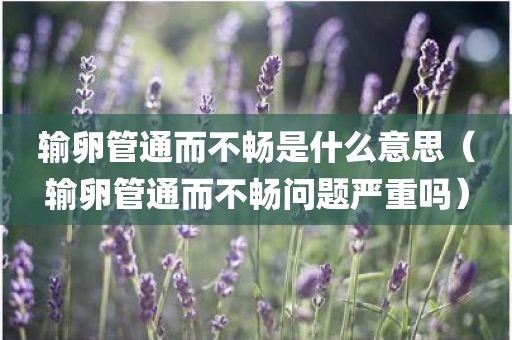 输卵管通而不畅是什么意思（输卵管通而不畅问题严重吗）