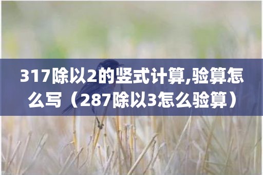 317除以2的竖式计算,验算怎么写（287除以3怎么验算）