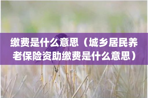 缴费是什么意思（城乡居民养老保险资助缴费是什么意思）