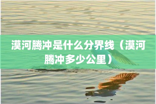 漠河腾冲是什么分界线(漠河腾冲多少公里)