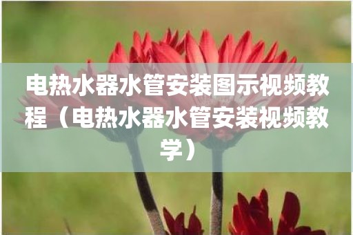 电热水器水管安装图示视频教程（电热水器水管安装视频教学）