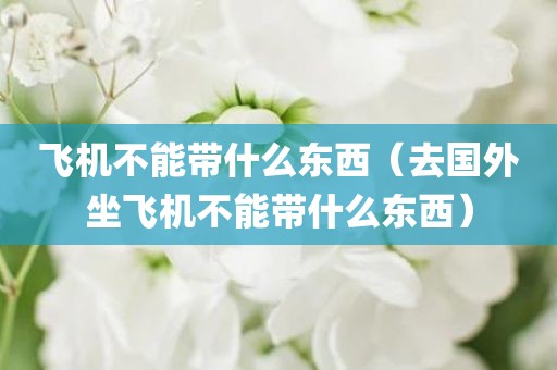 飞机不能带什么东西（去国外坐飞机不能带什么东西）