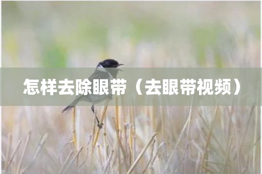 怎样去除眼带（去眼带视频）