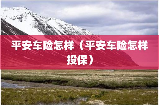 平安车险怎样（平安车险怎样投保）