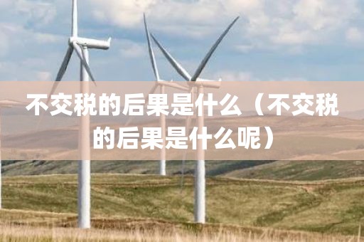 不交税的后果是什么(不交税的后果是什么呢)