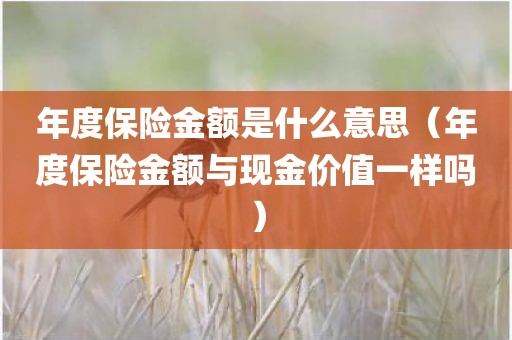 年度保险金额是什么意思（年度保险金额与现金价值一样吗）