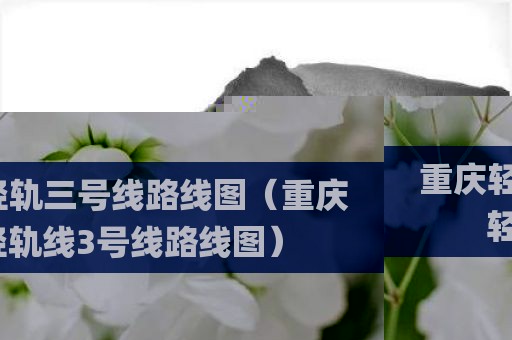 重庆轻轨三号线路线图（重庆轻轨线3号线路线图）