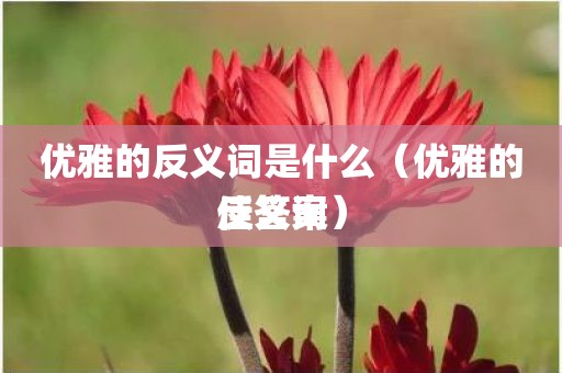 优雅的反义词是什么（优雅的反义词佳答案）
