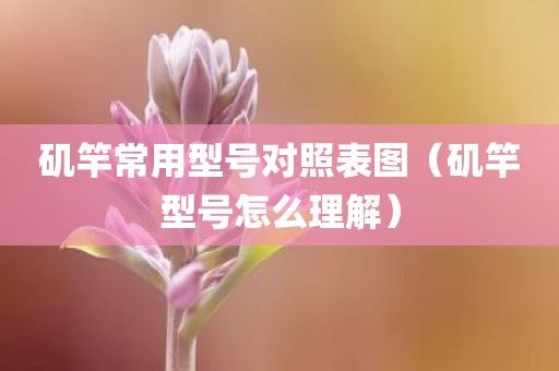 矶竿常用型号对照表图（矶竿型号怎么理解）