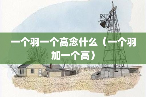 一个羽一个高念什么（一个羽加一个高）