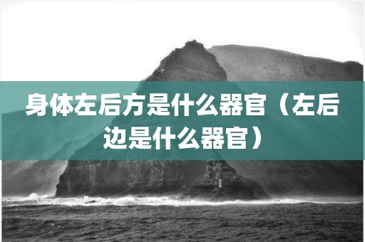 身体左后方是什么器官（左后边是什么器官）