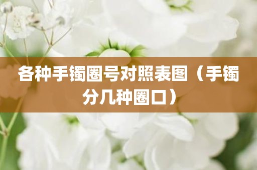 各种手镯圈号对照表图（手镯分几种圈口）